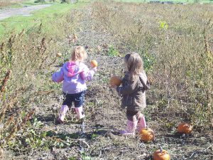 Pumpkin Picking in the Ottawa Area