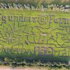 Saunders Farm Canada 150 Corn Maze Saunders Farm Canada 150 Corn Maze