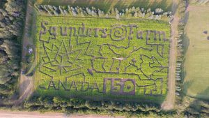 Saunders Farm Canada 150 Corn Maze