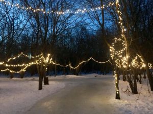 River Oak Staking Trail